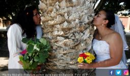 Perempuan Meksiko Beramai-ramai Nikahi Pohon, Kenapa Ya? - JPNN.com