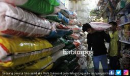 BI Dukung Kran Impor Beras ke Batam Dibuka - JPNN.com