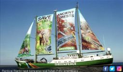Greenpeace Bantah Apresiasi Pertamina di World Cleanup Day - JPNN.com