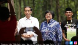 Menteri Siti: Di Bawah Kepemimpinan Jokowi, Indonesia Konsisten Mengurangi Deforestasi - JPNN.com