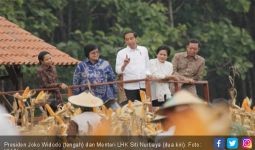 Pak Jokowi Serahkan 13 SK Perhutanan Sosial Seluas 8.975 Ha - JPNN.com