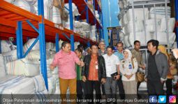 Kementan Klarifikasi Kabar Daging Kerbau Ilegal di Medan - JPNN.com