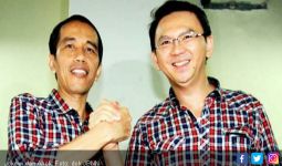 Bisa Saja Ahok di Belakang Layar Membantu Jokowi - JPNN.com