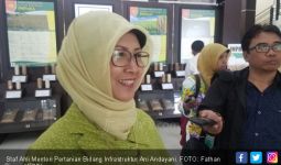 Garap Lahan Rawa, Kementan Uji Teknologi asal Jepang - JPNN.com