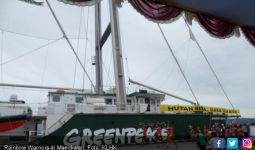 Bersandar di Papua, Kapal Greenpeace Dukung Hutan Adat - JPNN.com