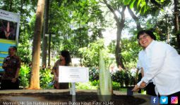 Menteri Siti Lengkapi Koleksi Arboretum Dengan Bunga Kibut - JPNN.com