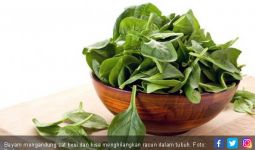 4 Alasan Bayam Disebut Superfood - JPNN.com