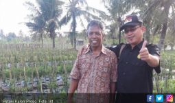 Hamparan Pasir di Kulonprogo Menjadi Lahan Tanaman Cabai - JPNN.com