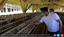 Kang Emil Bakal Duplikasi Usaha Ternak Ayam Petelur Ciamis - JPNN.com