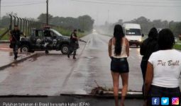 20 Napi Tewas Saat Berusaha Kabur dari Penjara Brasil - JPNN.com