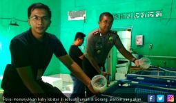 Polisi Gerebek Rumah Penyimpanan Baby Lobster di Serang - JPNN.com