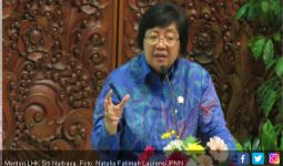 Menteri LHK Apresiasi Hukuman 12 Tahun Bui Pembakar Hutan - JPNN.com