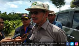 Hati-Hati! 2 Harimau Sumatera Berkeliaran di Palupuah - JPNN.com