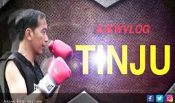 PDIP: Jokowi Sedang Shadow Boxing - JPNN.com