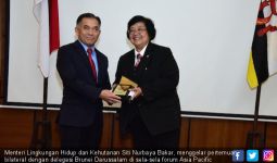 Menteri Siti Gelar Pertemuan dengan Delegasi Empat Negara - JPNN.com