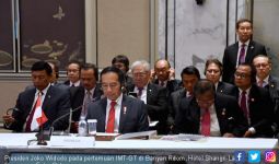 Jokowi Apresiasi Capaian Kerja Sama IMT-GT - JPNN.com