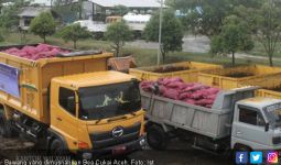 Puluhan Kilogram Bawang Dimusnahkan Bea Cukai Aceh - JPNN.com