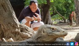 Komarudin Watubun: Cabut Investasi Berisiko di Pulau Komodo - JPNN.com