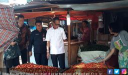 Kepala BKP Kementan Sidak ke Pasar Sukaramai Pekanbaru - JPNN.com
