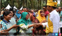 Di Depan Jokowi, Honorer K2 Riau Minta Diangkat CPNS - JPNN.com