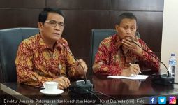Indonesia Siap Ekspor Hasil Ternak ke Timur Tengah - JPNN.com