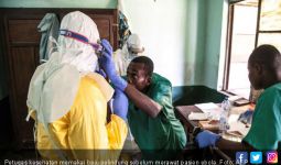 Bank Dunia Siapkan Rp 4,1 T untuk Perangi Ebola di Kongo - JPNN.com