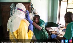 Ebola Renggut 1.600 Nyawa di Kongo, WHO Tetapkan Status Darurat - JPNN.com