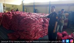 BC Gagalkan Penyeludupan 30 Ton Bawang Ilegal dari Malaysia - JPNN.com