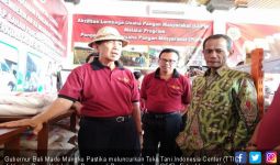 TTIC Sudah Hadir di Provinsi Bali - JPNN.com