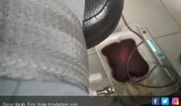 Donor Darah Saat Menstruasi, Bolehkah? - JPNN.com