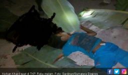 Remaja 15 Tahun Tewas Dibunuh Usai Pulang Salat Taraweh - JPNN.com