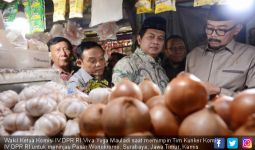 DPR Nilai Kenaikan Harga Bawang Putih Sangat Tidak Wajar - JPNN.com