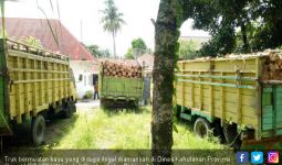 Empat Truk Pengangkut Kayu Ilegal Diamankan Intel Kodim - JPNN.com