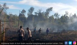 Sepekan, Puluhan Hektar Hutan Terbakar di Aceh - JPNN.com