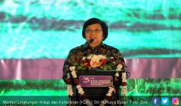 Menteri Siti Nurbaya Tetap Pantau Karhutla Saat Lebaran - JPNN.com