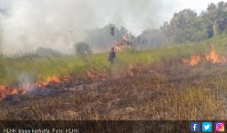 KLHK Cegah Karhutla di Taman Nasional Rawa Aopa Watumohai - JPNN.com