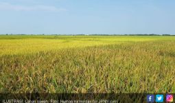 Himpitan Kegiatan Hulu Migas dengan Lahan Pertanian Harus Segera Diselesaikan - JPNN.com