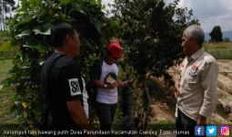 Kementan Lirik Potensi Lahan di Ciwidey Bandung - JPNN.com