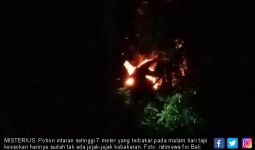 Aneh, Pohon Terbakar Tiap Malam tapi Tanpa Jejak Kebakaran - JPNN.com