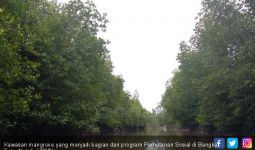 Revitalisasi Hutan Kota Kemayoran Diprediksi Rampung 2019 - JPNN.com