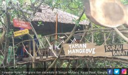 Susuri Hutan Mangrove Munjang, Berdamai dengan Alam - JPNN.com