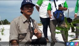 Berjuang Hijaukan Kembali Bangka di Tengah Tambang Ilegal - JPNN.com