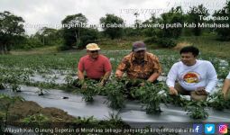 Kawasan Ini jadi Penyangga Produksi Cabai dan Bawang Merah - JPNN.com