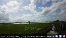 Banjir, Petani Wajo Rugi Rp 200 Miliar - JPNN.com