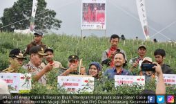 Kementan Mantapkan Cianjur jadi Penyangga Cabai Jabodetabek - JPNN.com