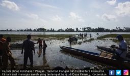 Petani di Soppeng Menjerit, 2.851 Hektare Sawah Gagal Panen - JPNN.com