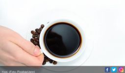 Kafein Bantu Anda Fokus saat Bekerja, Ini Penjelasannya - JPNN.com