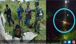 Korban Keganasan Buaya Muara Ditemukan Ngapung di Kanal - JPNN.com