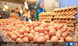 Harga Ayam dan Telur Naik, Lumayan nih - JPNN.com