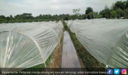 Dorong Inovasi Teknologi dengan Metode Sungkup Plastik - JPNN.com